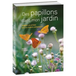 Des papillons dans mon jardin - Comment les attirer avec les plantes appropriées Des papillons dans mon jardin - Comment les attirer avec les plantes appropriées