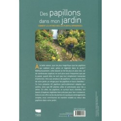 Des papillons dans mon jardin - Comment les attirer avec les plantes appropriées Des papillons dans mon jardin - Comment les attirer avec les plantes appropriées