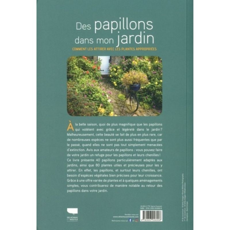 Comment aménager son jardin pour attirer les papillons