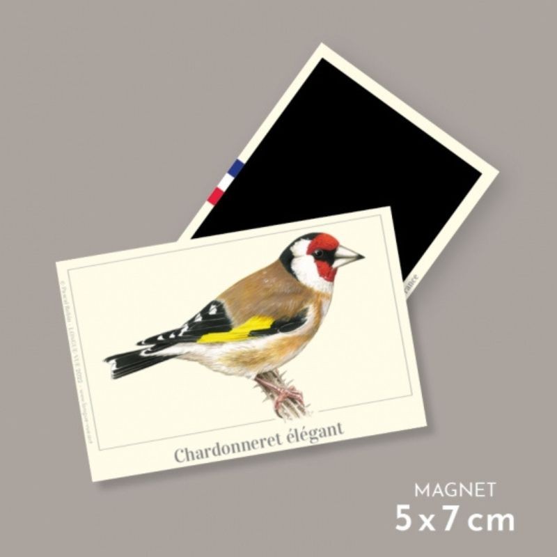 Magnet illustré - Chardonneret élégant - 5,5x8 cm