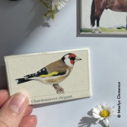 Magnet illustré - Chardonneret élégant - 5,5x8 cm