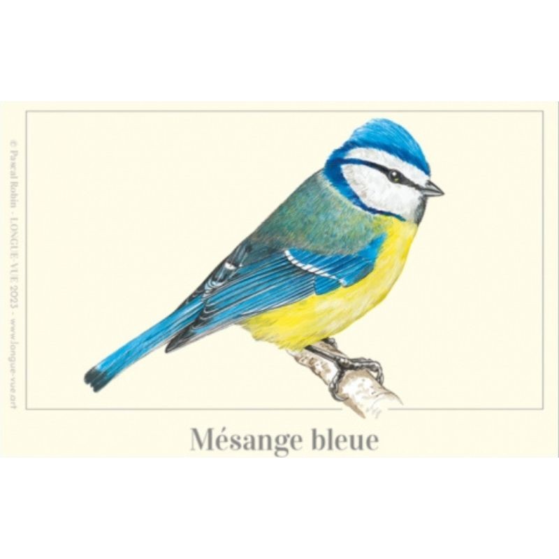 Magnet illustré - Mésange bleue - 5x7 cm