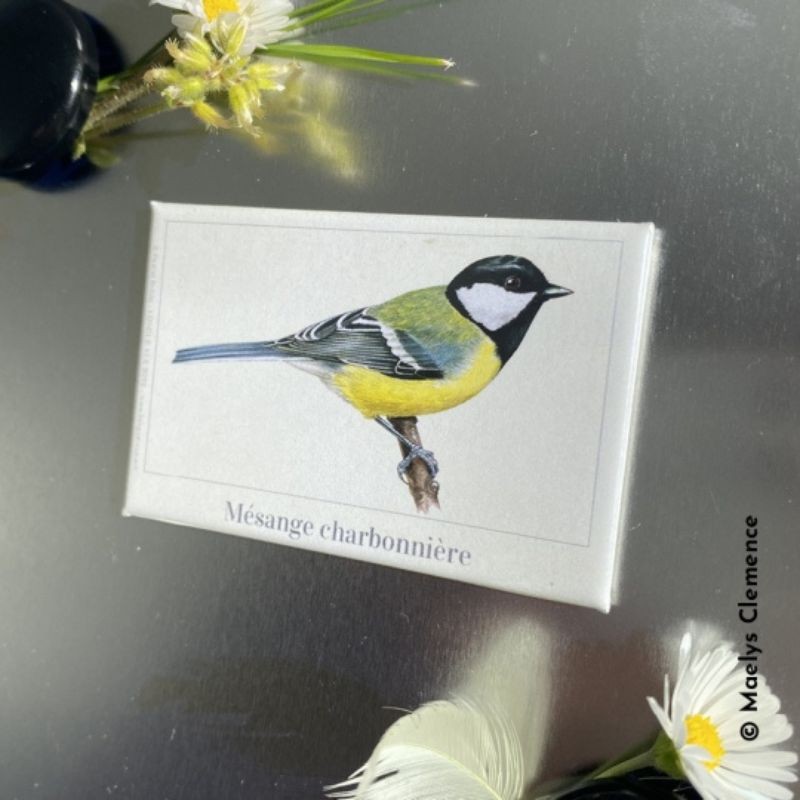 Magnet illustré - Mésange charbonnière - 5,5x8cm