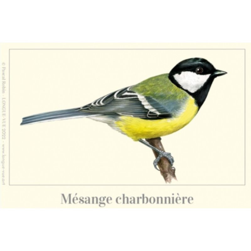 Magnet illustré - Mésange charbonnière - 5x7 cm