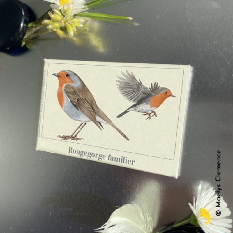 Magnet illustré - Rougegorge familier - 5x7cm
