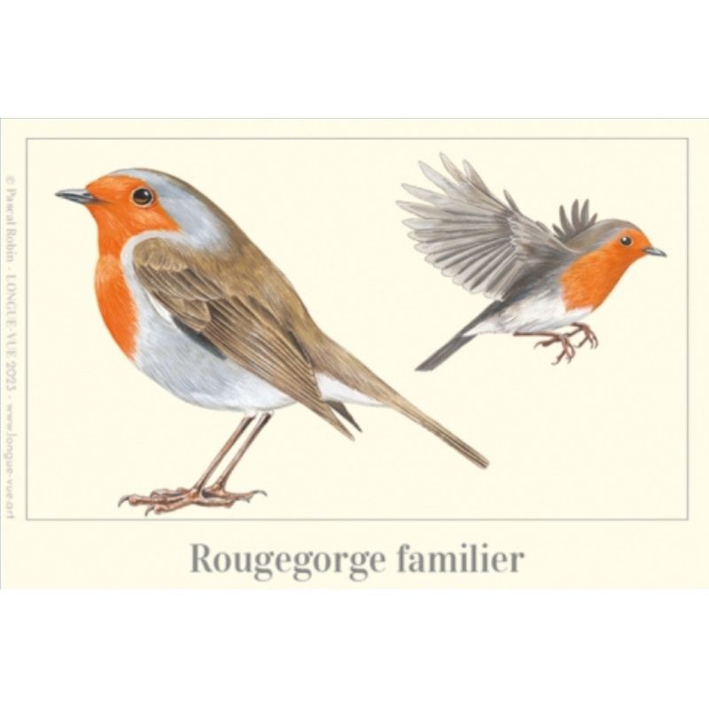 Magnet illustré - Rougegorge familier - 5x7cm