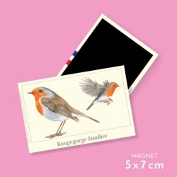 Magnet illustré - Rougegorge familier - 5x7cm