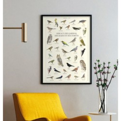 Affiche illustrée - Oiseaux des jardins, des haies et des forêts