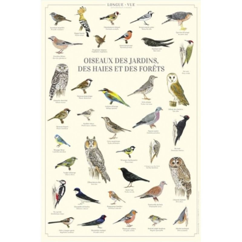 Affiche illustrée - Oiseaux des jardins, des haies et des forêts