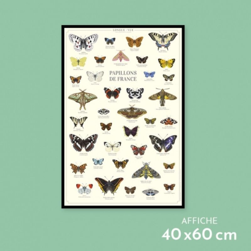 Affiche illustrée - Papillons de France