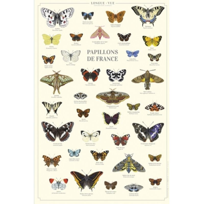 Affiche illustrée - Papillons de France