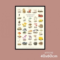 Affiche illustrée - Champignons de France Affiche illustrée - Champignons de France