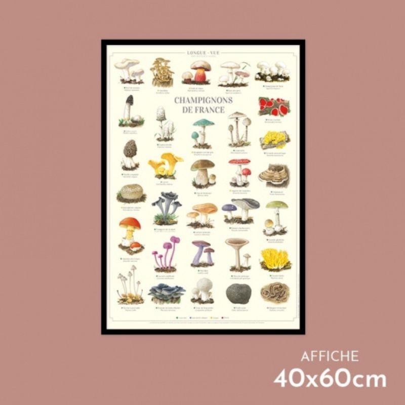 Affiche illustrée - Champignons de France Affiche illustrée - Champignons de France