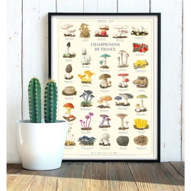 Affiche illustrée - Champignons de France Affiche illustrée - Champignons de France