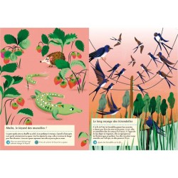 Faune et flore de l’été - Mon cahier nature