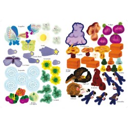 Faune et flore de l’été - Mon cahier nature