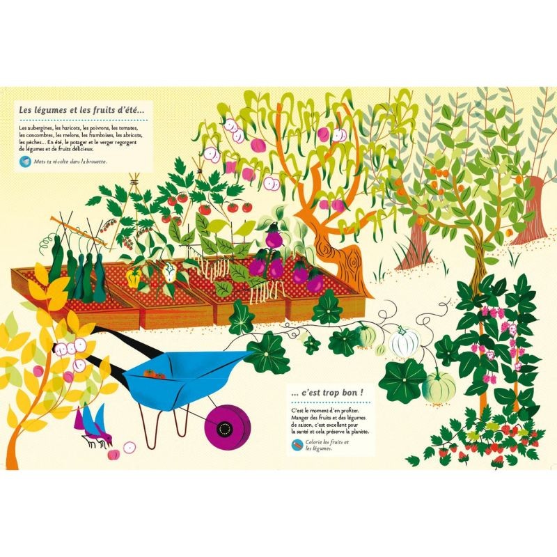 Faune et flore de l’été - Mon cahier nature