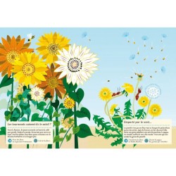 Faune et flore de l’été - Mon cahier nature