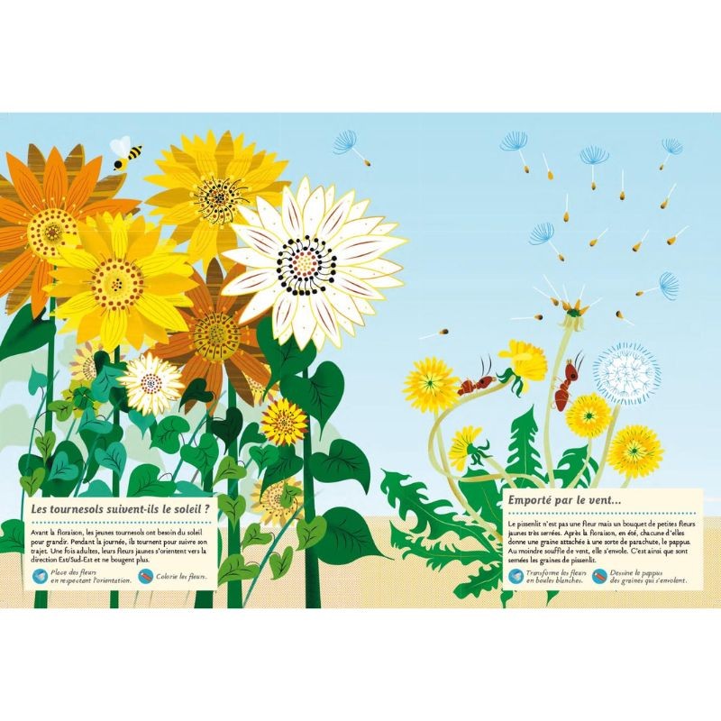 Faune et flore de l’été - Mon cahier nature