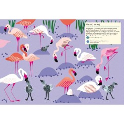 Faune et flore du printemps - Mon cahier nature Faune et flore du printemps - Mon cahier nature