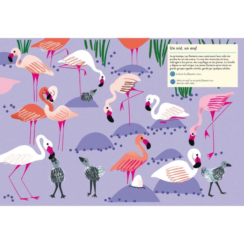 Faune et flore du printemps - Mon cahier nature Faune et flore du printemps - Mon cahier nature