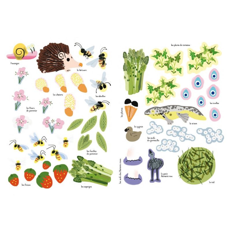 Faune et flore du printemps - Mon cahier nature Faune et flore du printemps - Mon cahier nature