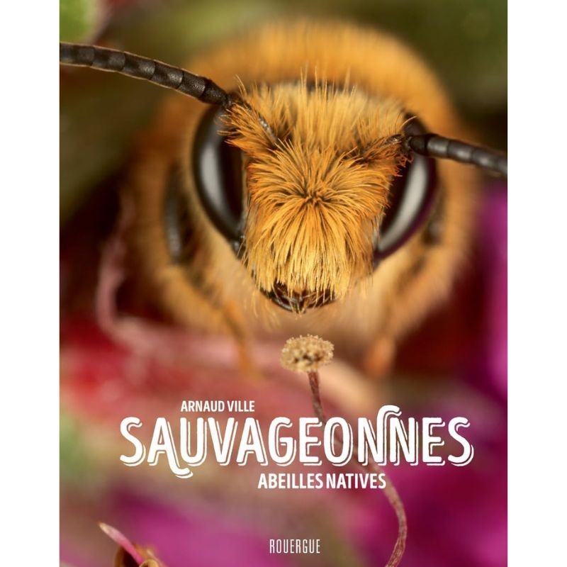 Sauvageonnes - Abeilles natives