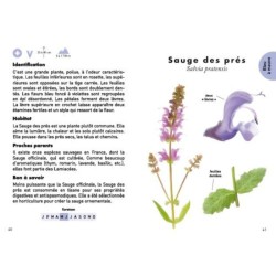 Le petit guide des fleurs sauvages - 70 espèces à découvrir