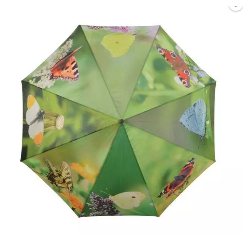 Parapluie Papillons
