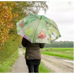Parapluie Papillons