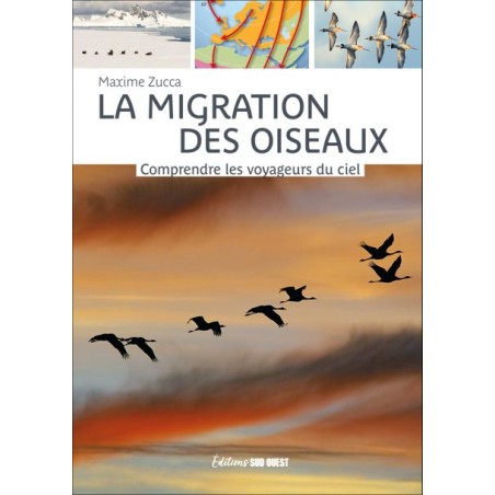 La migration des oiseaux - Comprendre les voyageurs du ciel