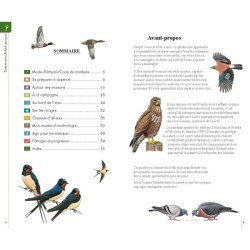 Reconnaître facilement les oiseaux - Petit guide Delachaux Reconnaître facilement les oiseaux - Petit guide Delachaux