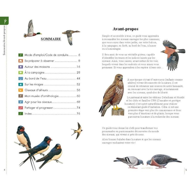 Reconnaître facilement les oiseaux - Petit guide Delachaux Reconnaître facilement les oiseaux - Petit guide Delachaux