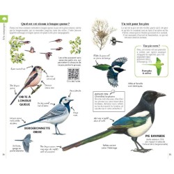 Reconnaître facilement les oiseaux - Petit guide Delachaux Reconnaître facilement les oiseaux - Petit guide Delachaux