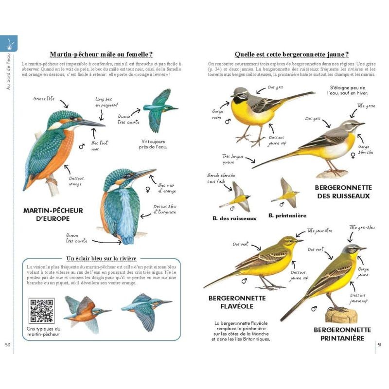Reconnaître facilement les oiseaux - Petit guide Delachaux Reconnaître facilement les oiseaux - Petit guide Delachaux