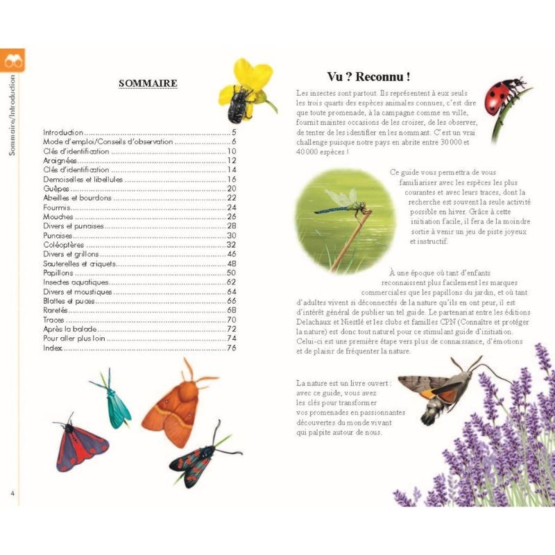 Reconnaître facilement les insectes - Petit guide Delachaux Reconnaître facilement les insectes - Petit guide Delachaux