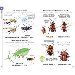 Reconnaître facilement les insectes - Petit guide Delachaux Reconnaître facilement les insectes - Petit guide Delachaux