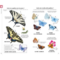 Reconnaître facilement les insectes - Petit guide Delachaux Reconnaître facilement les insectes - Petit guide Delachaux