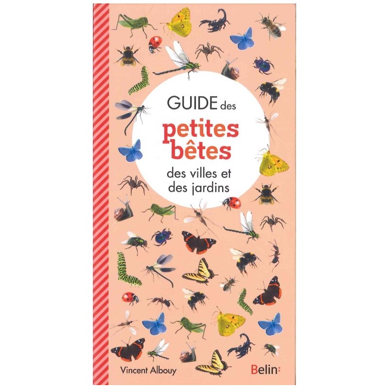 Guide des petites bêtes des villes et des jardins - Nvelle édition