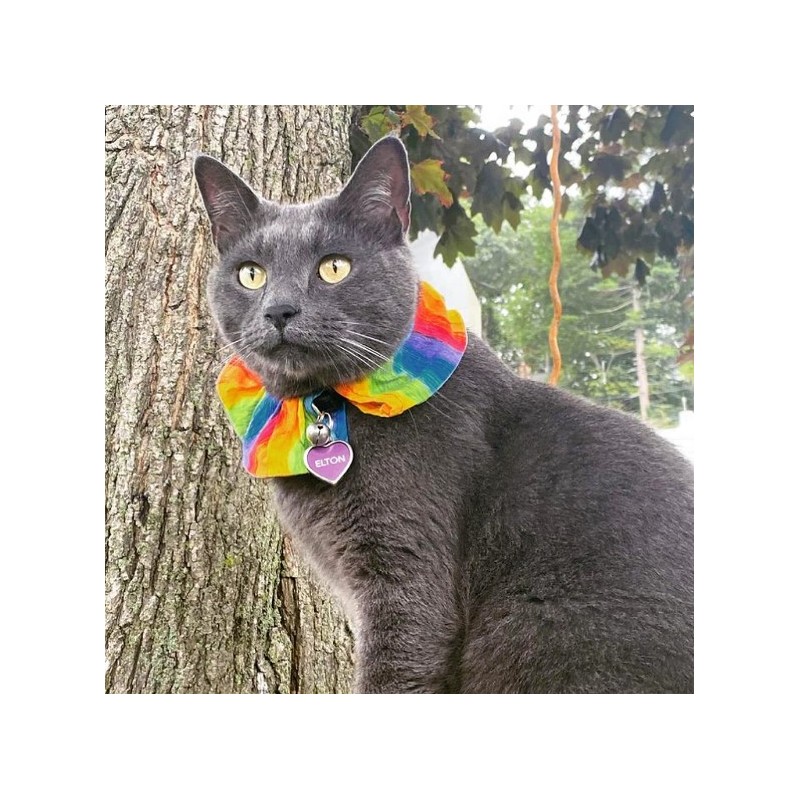 Collerette Birdsbesafe Crayon