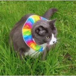 Collerette Birdsbesafe Crayon