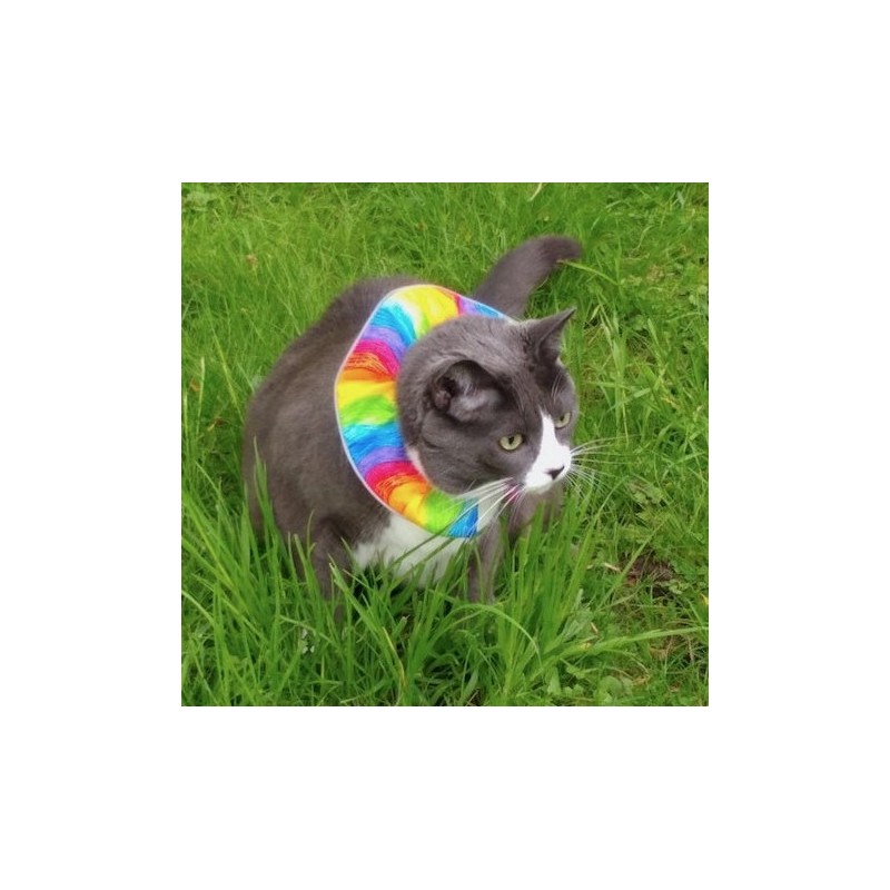 Collerette Birdsbesafe Crayon