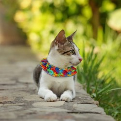 Collerette Birdsbesafe - Puzzle