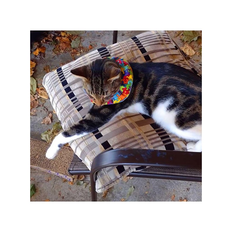 Collerette Birdsbesafe - Puzzle