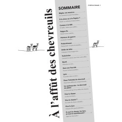 A l'affût des chevreuils