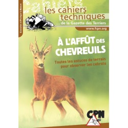 A l'affût des chevreuils