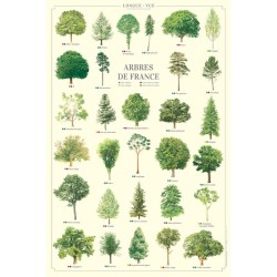 Affiche illustrée - Arbres de France