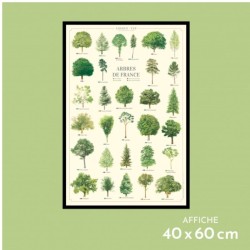 Affiche illustrée - Arbres de France