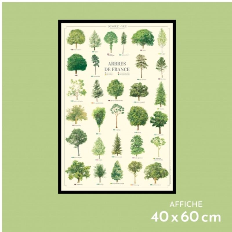 Affiche illustrée - Arbres de France