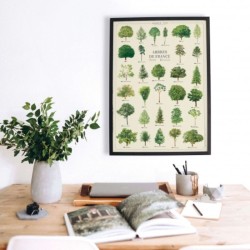 Affiche illustrée - Arbres de France